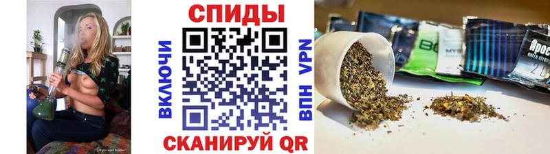 Бутират BDO  OMG ТОР  Кстово 