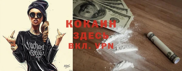 прущие грибы Касимов