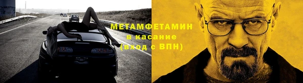 прущие грибы Касимов