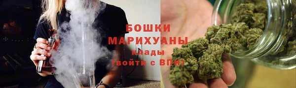 прущие грибы Касимов