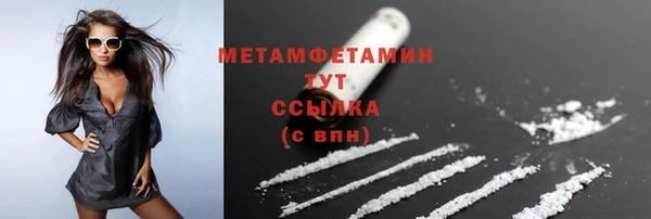 прущие грибы Касимов
