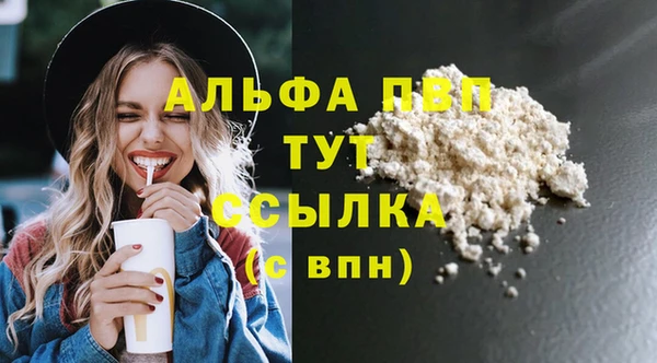 PSILOCYBIN Кодинск