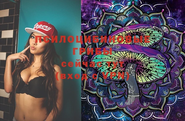 ешки Козловка