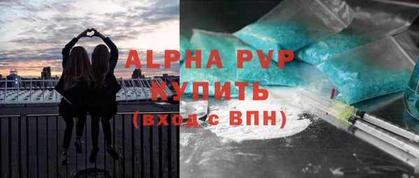 прущие грибы Касимов