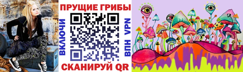 Псилоцибиновые грибы Psilocybe  Кстово 